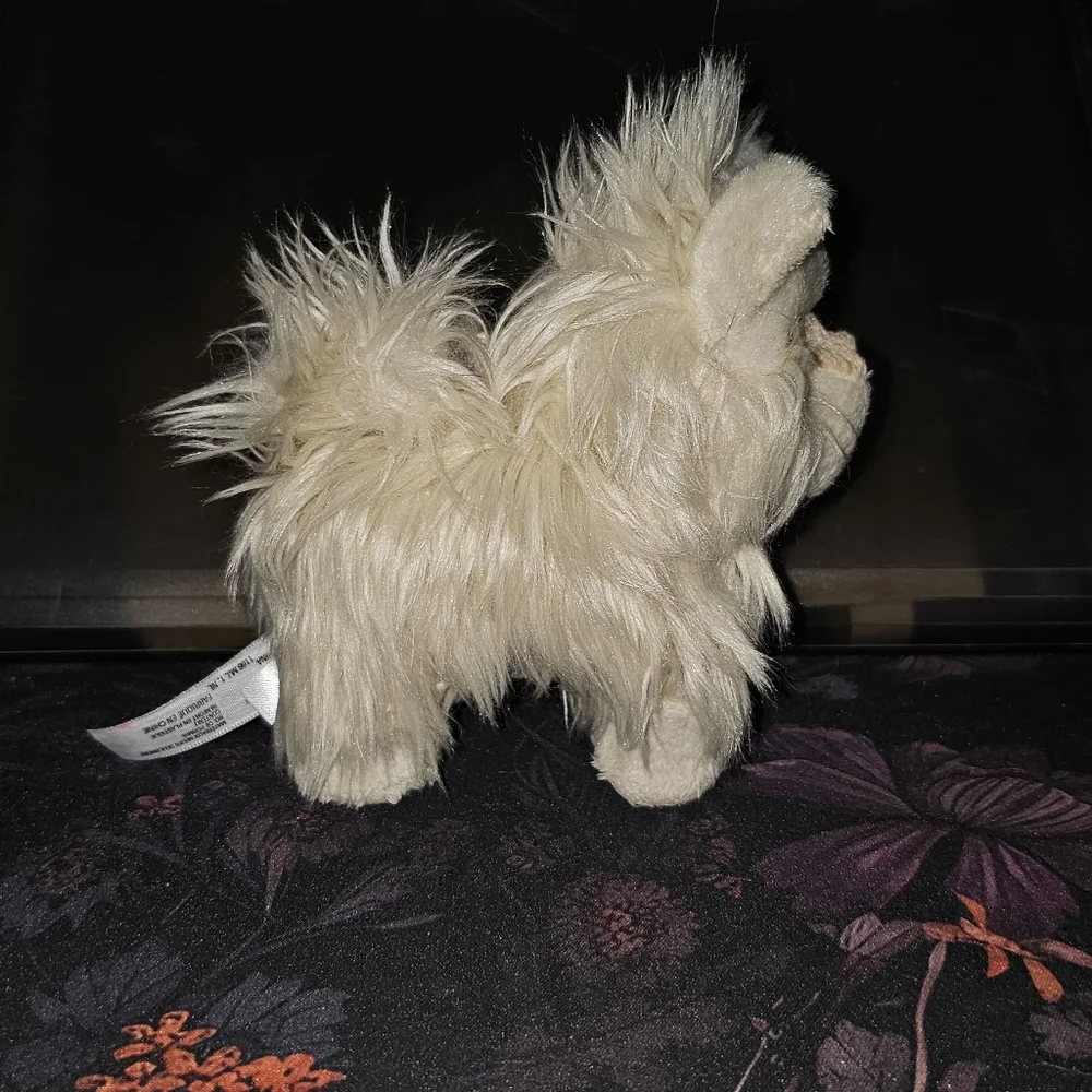 Coconut - Picture 5 of 8